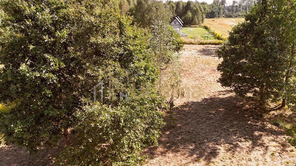 Działka  na sprzedaż pod Goleniowem/ Żółwia Błoć (15)