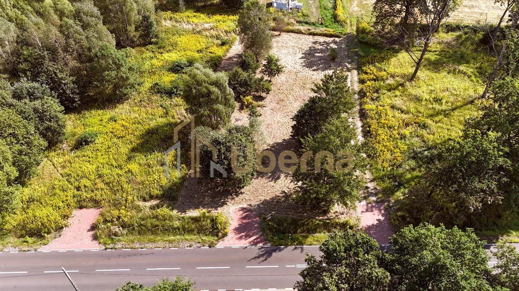 Działka  na sprzedaż pod Goleniowem/ Żółwia Błoć (2)