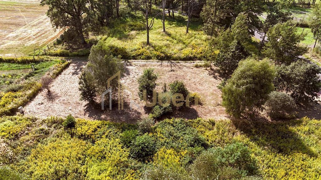 Działka  na sprzedaż pod Goleniowem/ Żółwia Błoć (8)