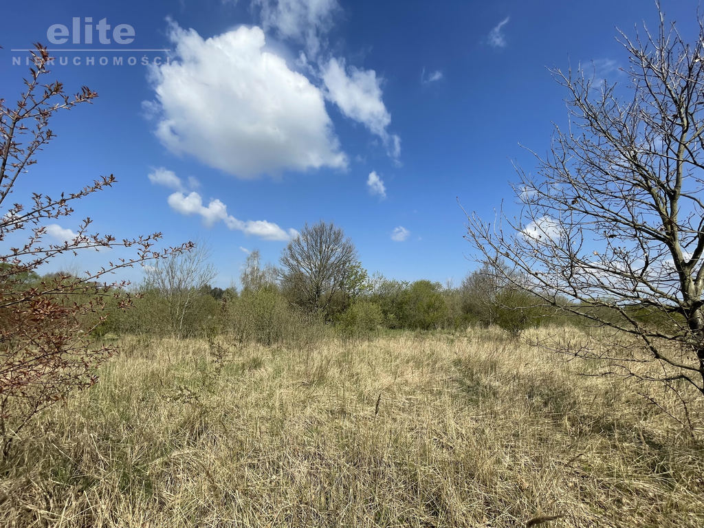 Mierzyn działka rolna 900m2, doskonała cena! (1)