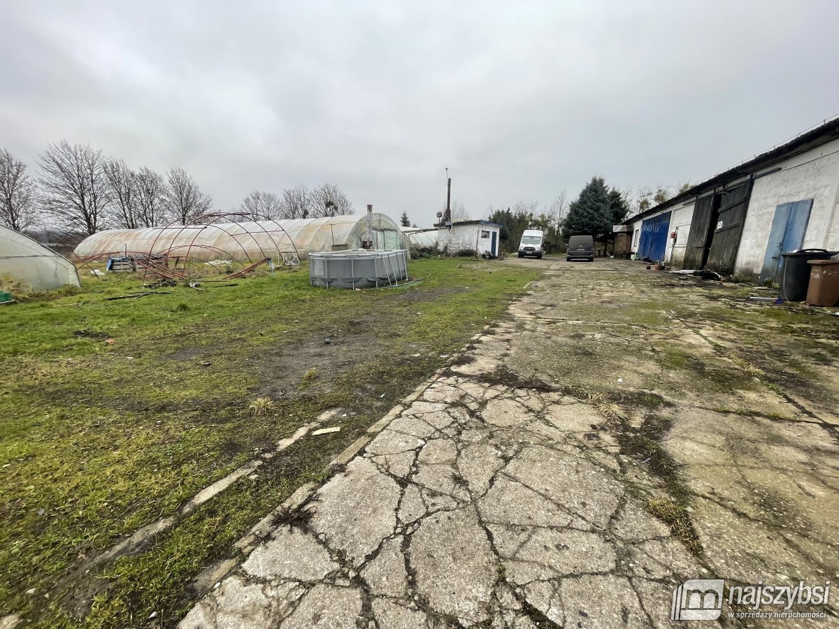 Dolice -  Gospodarstwo rolne z zabudowaniami  (3)