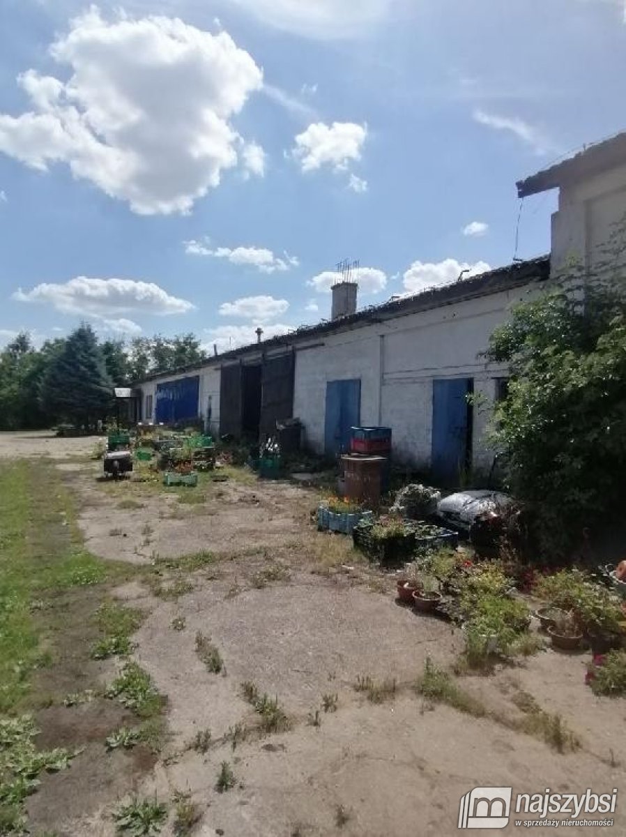 Dolice -  Gospodarstwo rolne z zabudowaniami  (4)