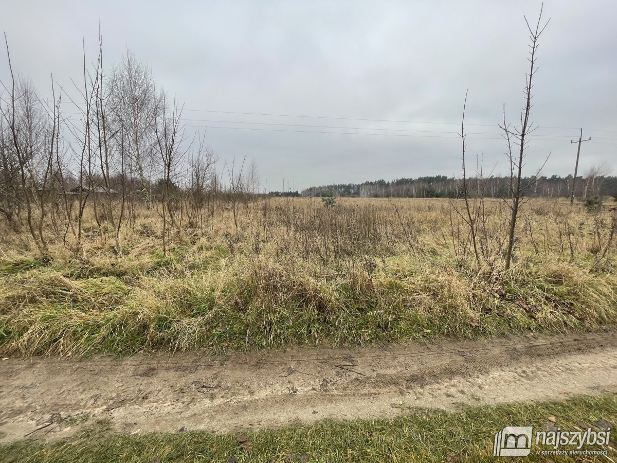 Dolice -  Gospodarstwo rolne z zabudowaniami  (6)