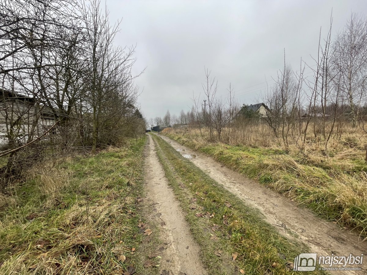 Dolice -  Gospodarstwo rolne z zabudowaniami  (7)