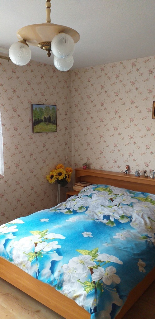 Duży dom na Gumieńcach z lokalem (3)