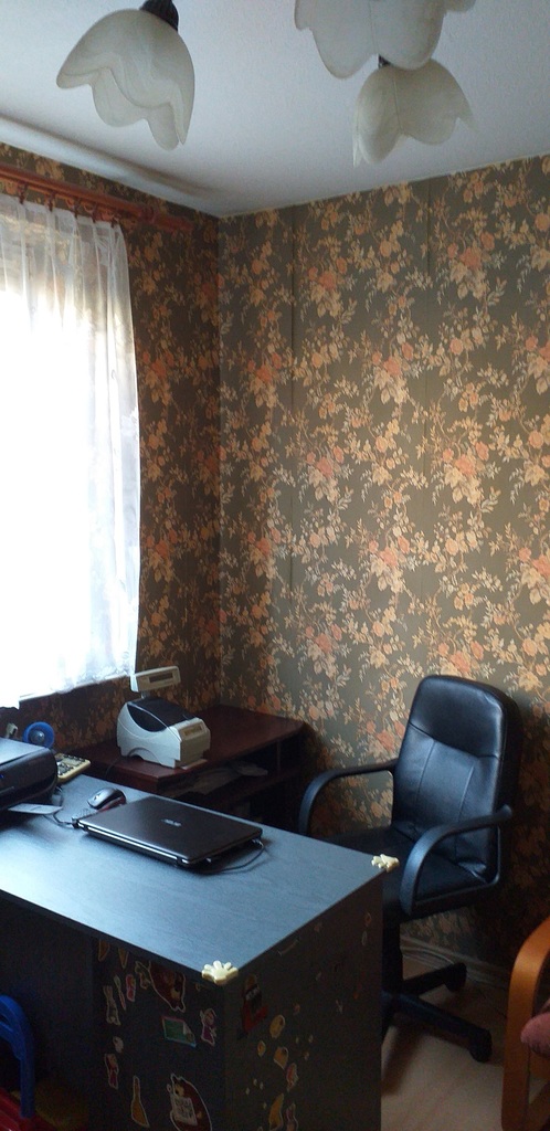 Duży dom na Gumieńcach z lokalem (5)