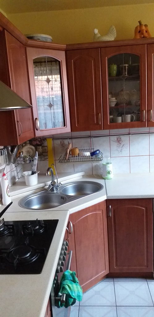 Duży dom na Gumieńcach z lokalem (7)