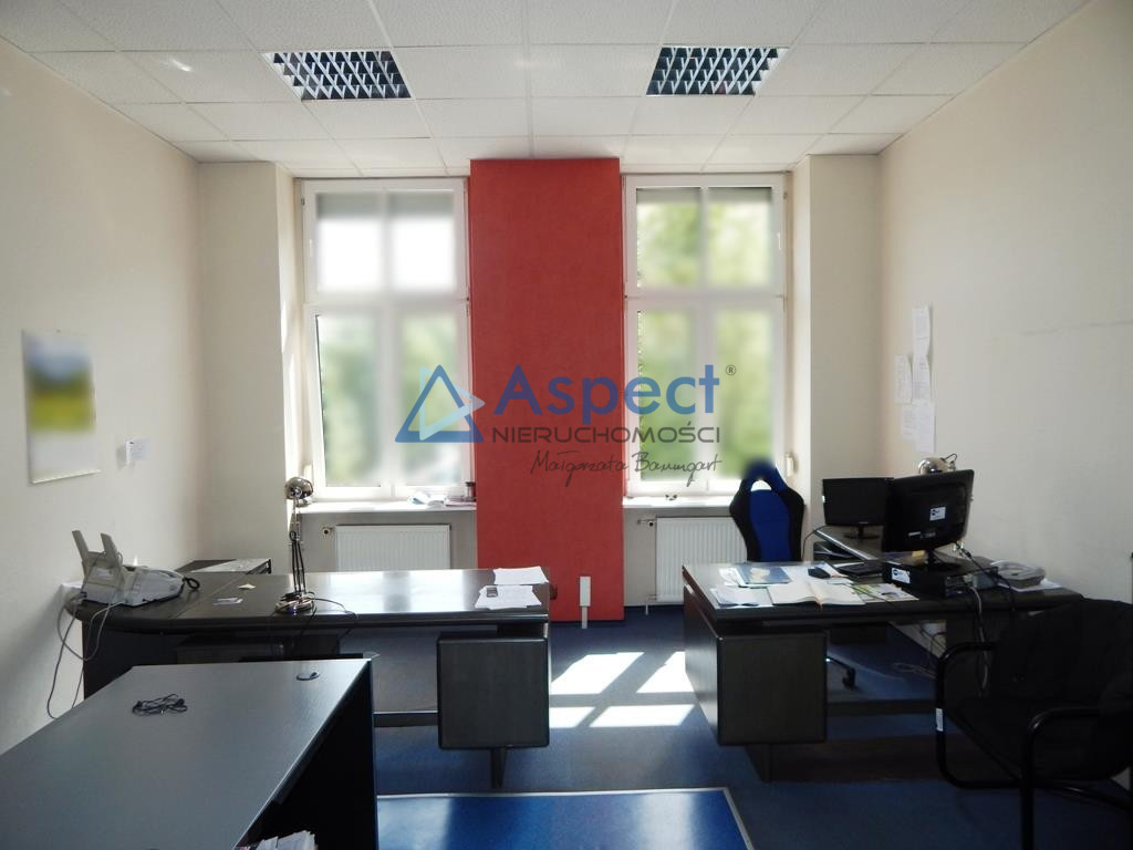 Wynajem, lokal 41 m2, Centrum/Śródmieście (6)