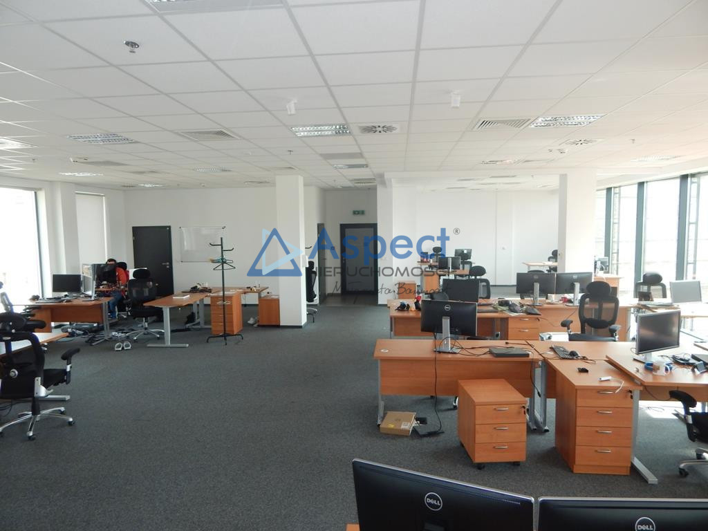 Lokal, 285 m2, 0 piętro, Szczecin Centrum (3)