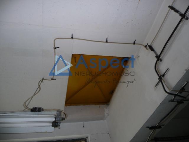 Obiekt, 388 m2, Szczecin Kijewo (5)