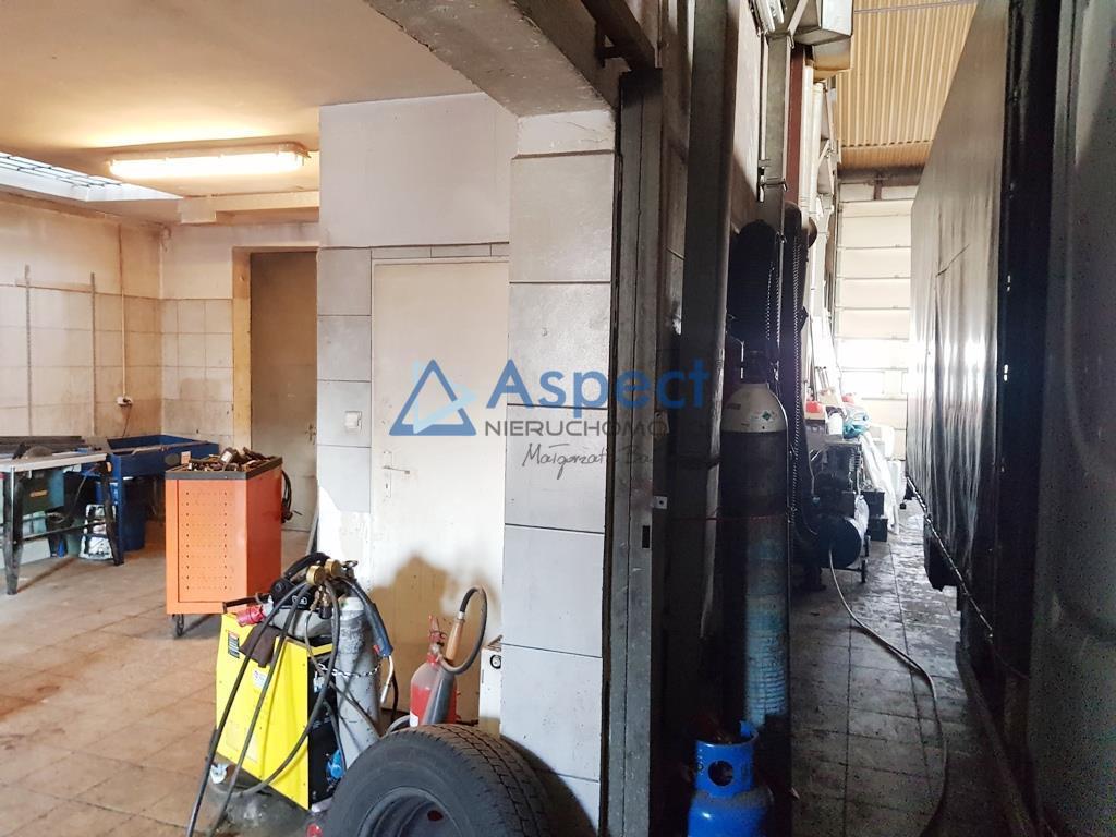 Obiekt, 603 m2, Szczecin Płonia (3)