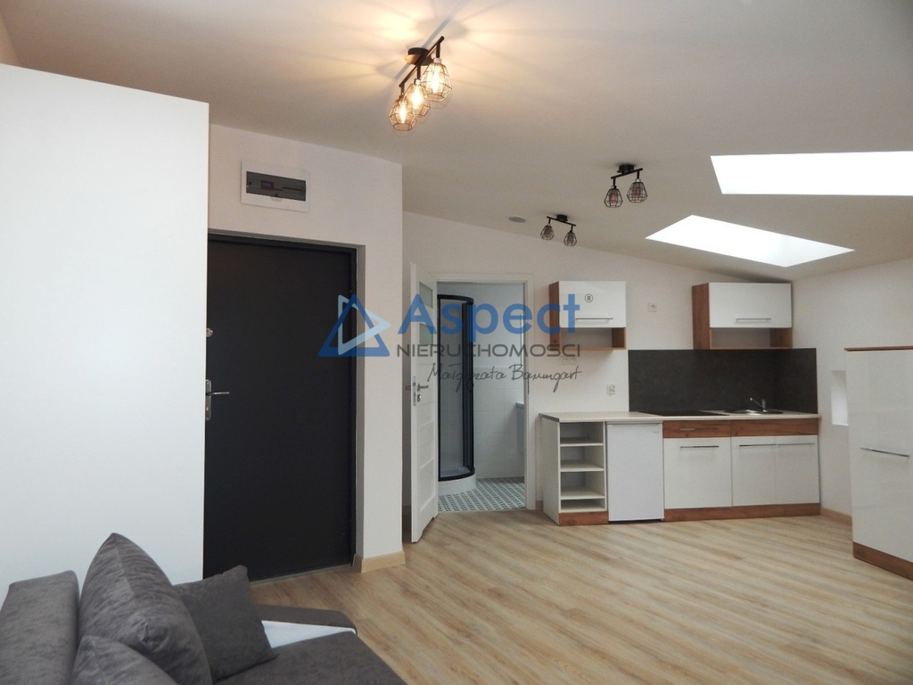 Inwestycja - 2 kawalerki (26+36 m2) blisko Galaxy (1)