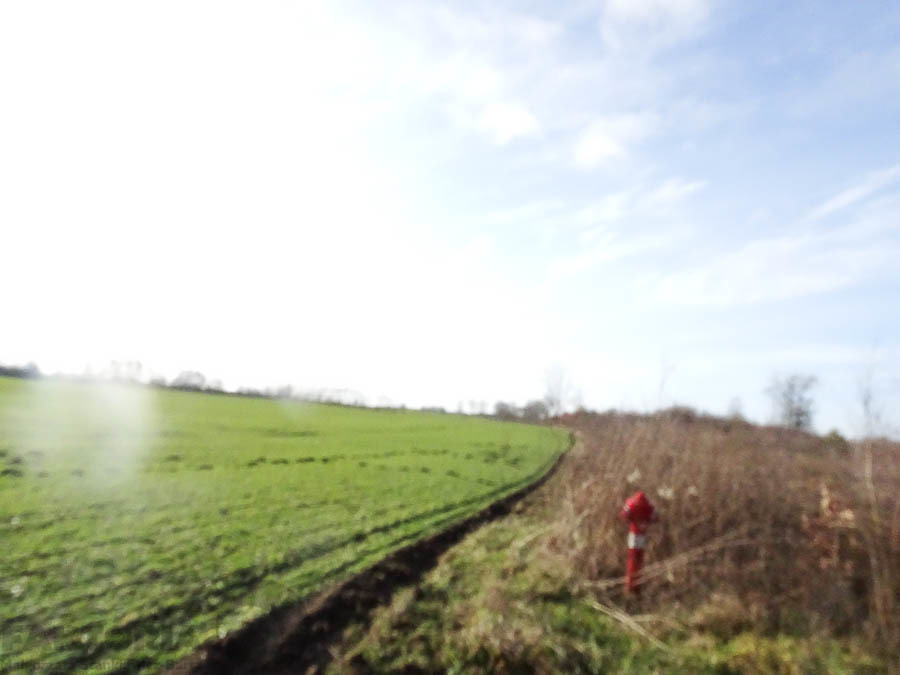 Stara Dąbrowa działka 1612 m2 55 zł/m2 (29)