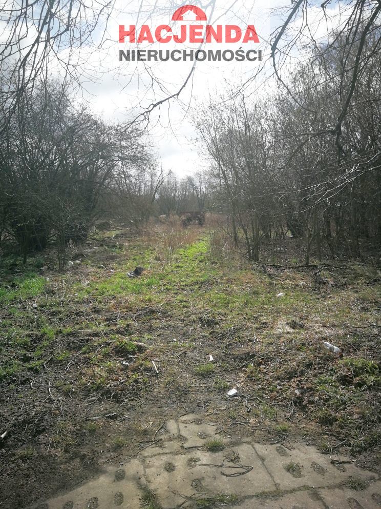 Rzemieślnicza, 700 m2, Wieńkowo  (3)