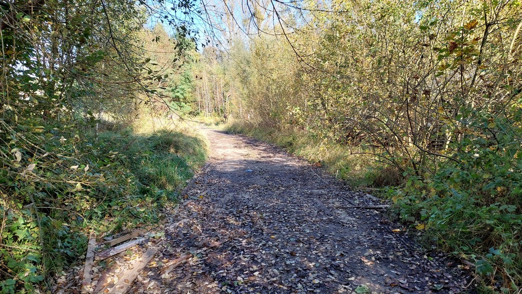 Działka inwestycyjna (8)