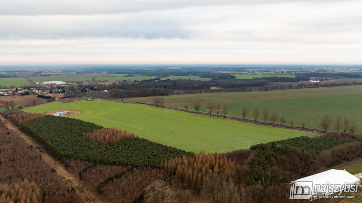 WĘGORZYCE-ZIEMIA ROLNA, INWESTYCYJNA 13 HA (3)