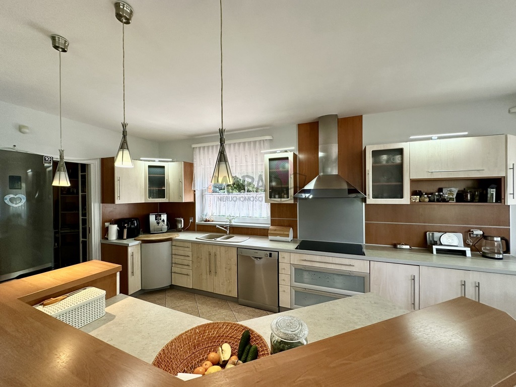 Duży dom na wzgórzu w otoczeniu zieleni (8)