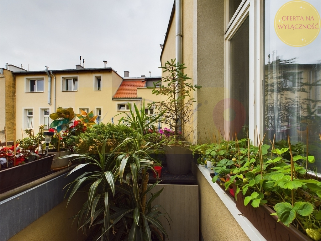 mieszkanie w ścisłym centrum z miejscem postojowym (13)