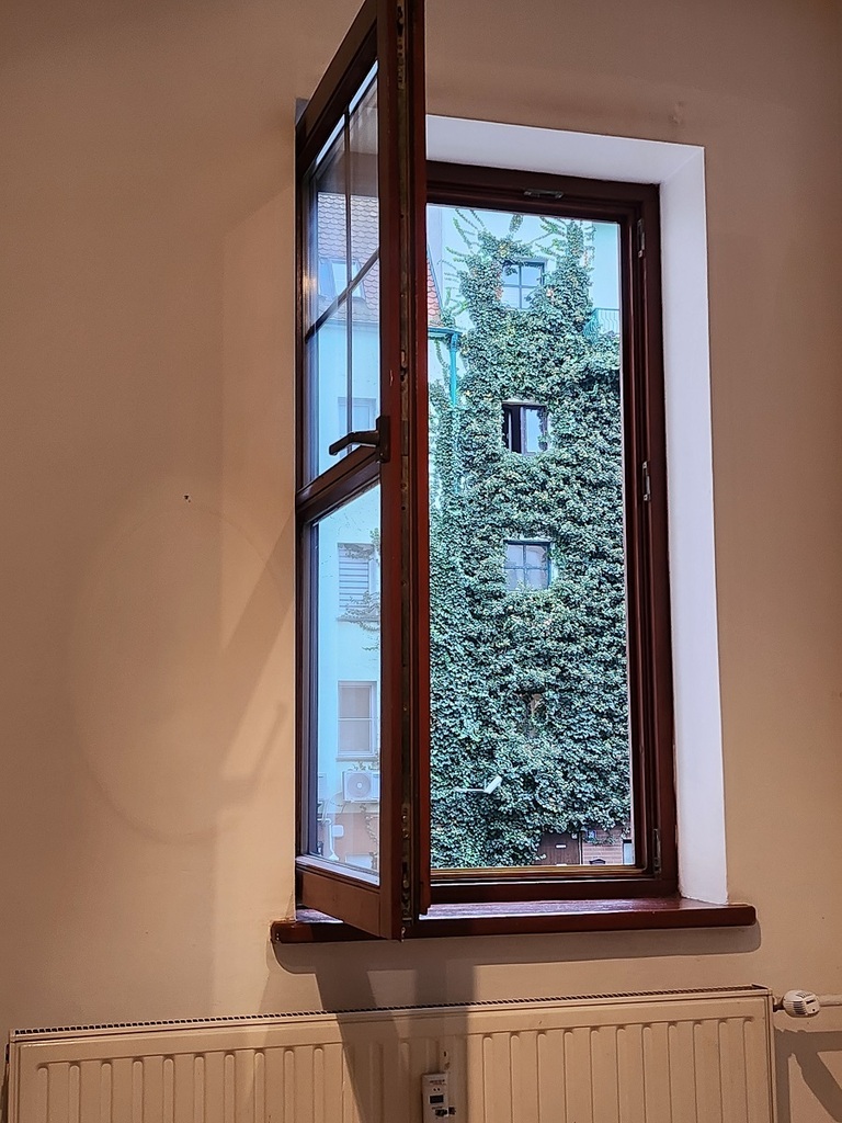 Mieszkanie, 2 pok., 46 m2, Szczecin Stare Miasto (6)