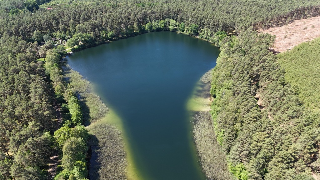 Działka z prywatnym jeziorem i 19 ha Natury (7)