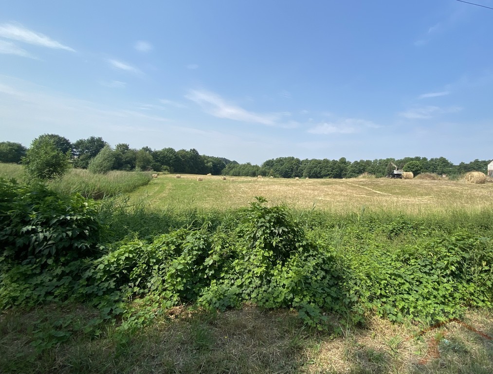 ostatnie działki_Atrakcyjna działka  Glinna (2)