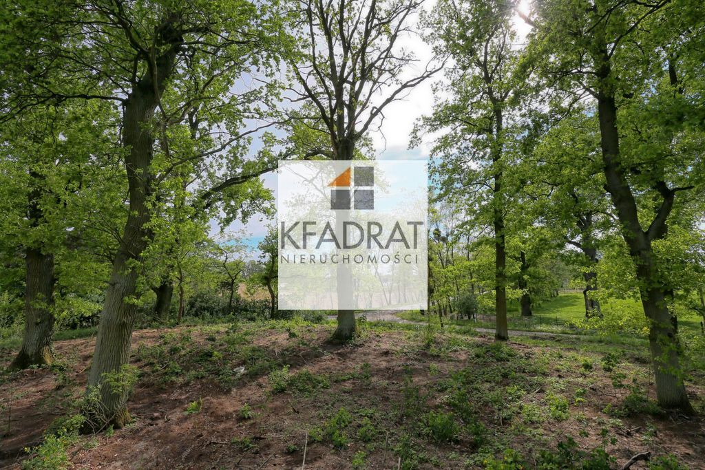 Budowlana, 1,611 m2, Hohenfelde Hohenfelde (4)