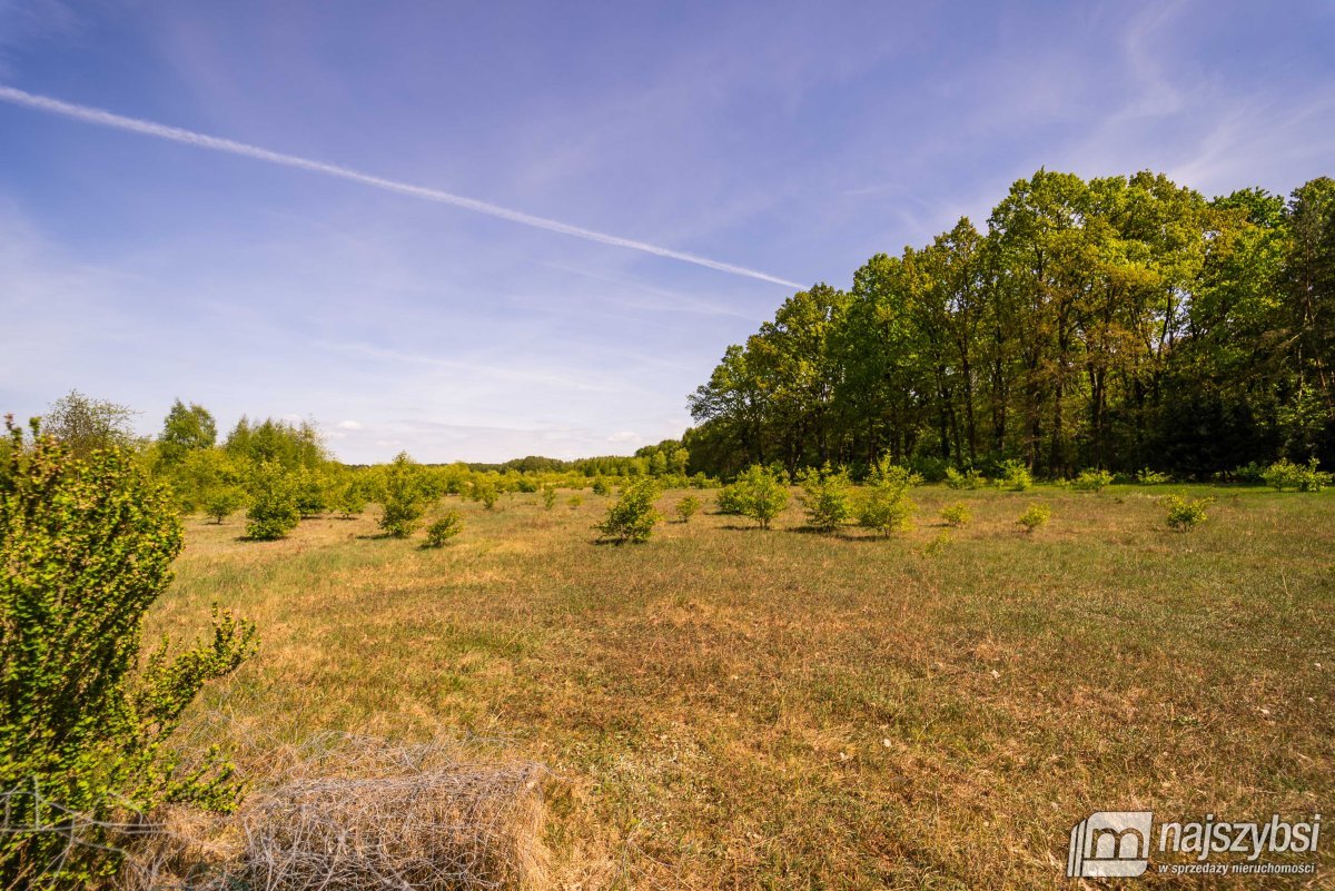 Goleniów- działka 0,8422 ha z WZ i kawałkiem lasu (17)