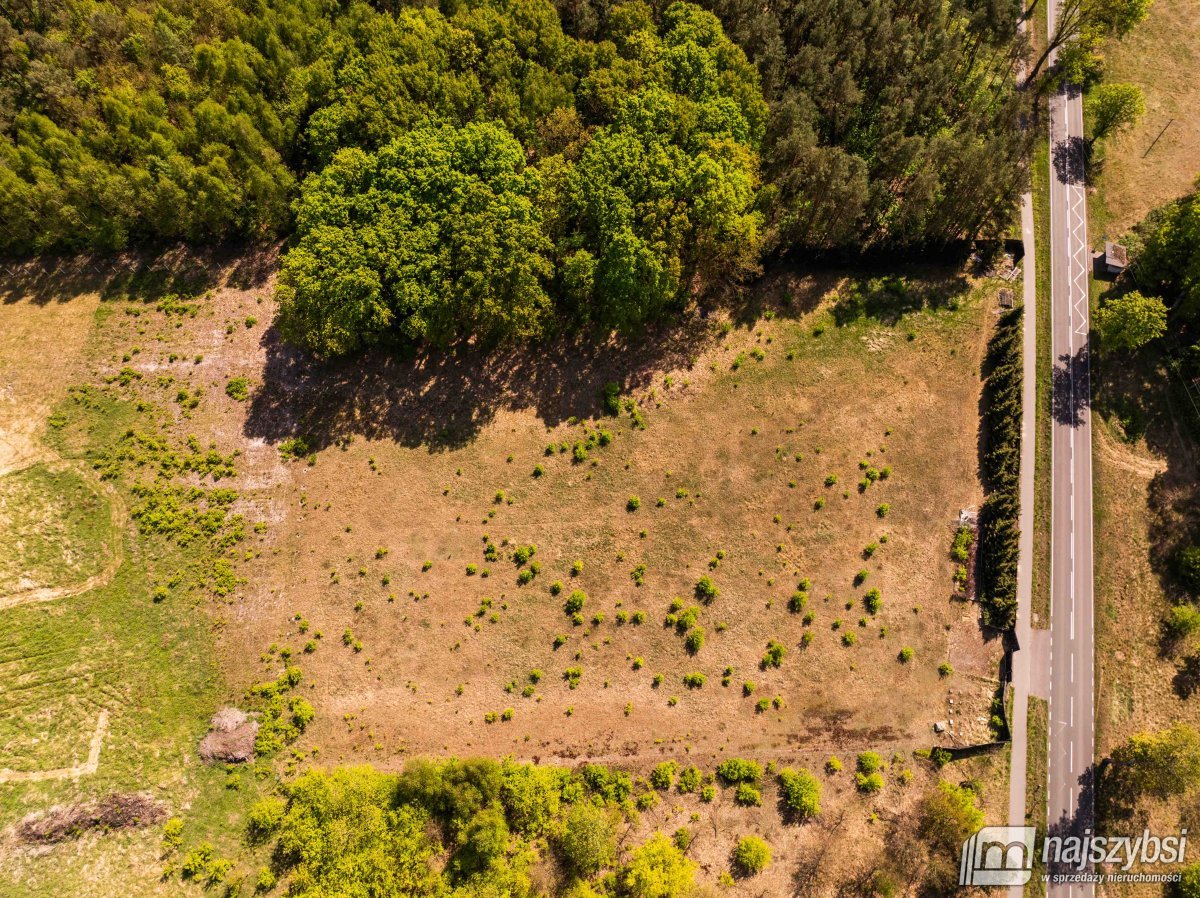Goleniów- działka 0,8422 ha z WZ i kawałkiem lasu (24)