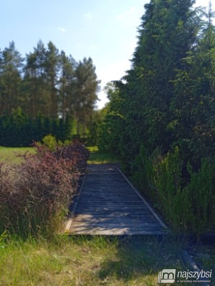 Goleniów- działka 0,8422 ha z WZ i kawałkiem lasu (25)