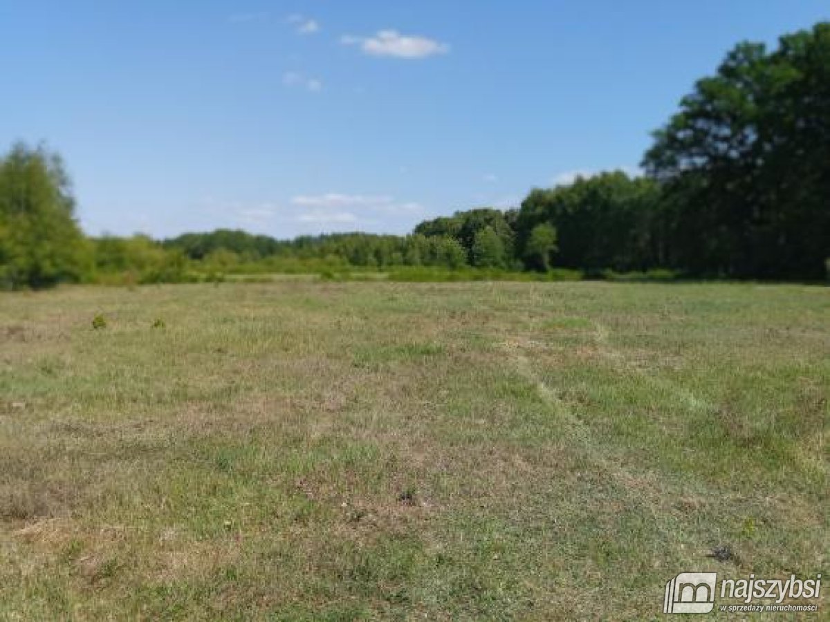Goleniów- działka 0,8422 ha z WZ i kawałkiem lasu (26)