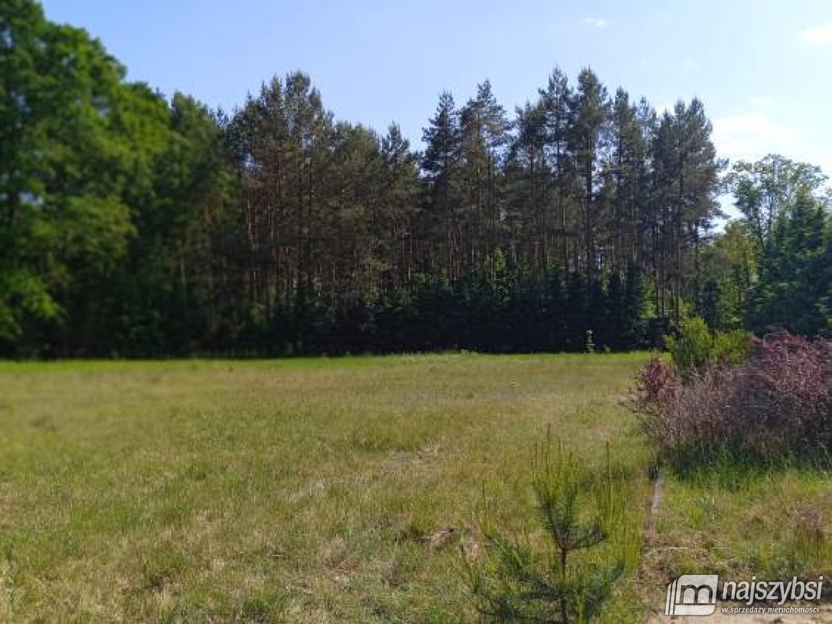 Goleniów- działka 0,8422 ha z WZ i kawałkiem lasu (27)