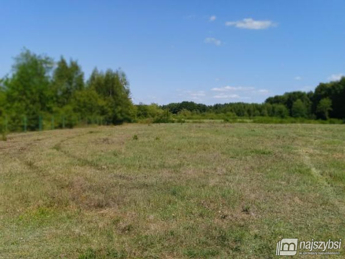 Goleniów- działka 0,8422 ha z WZ i kawałkiem lasu (29)