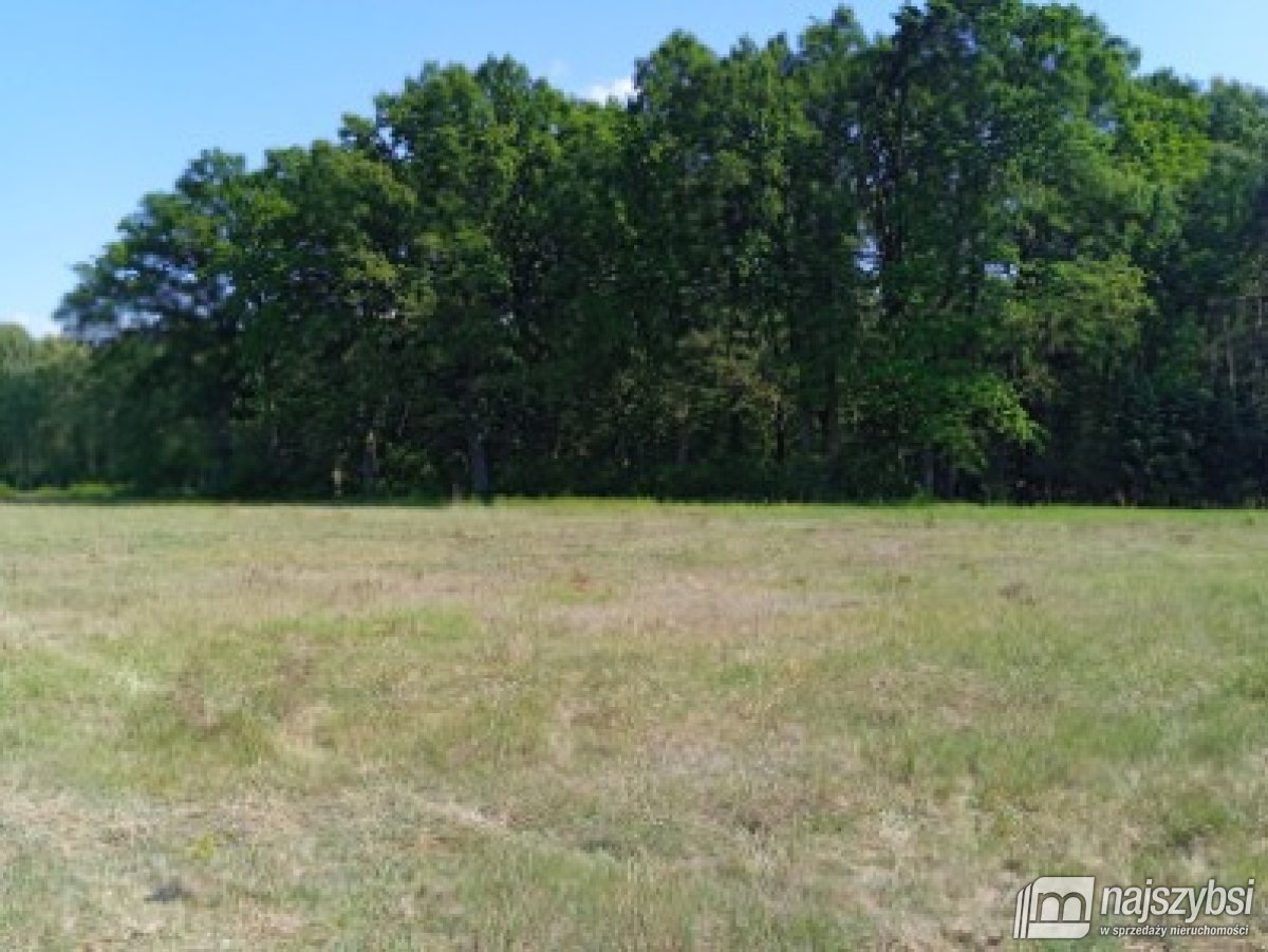 Goleniów- działka 0,8422 ha z WZ i kawałkiem lasu (30)