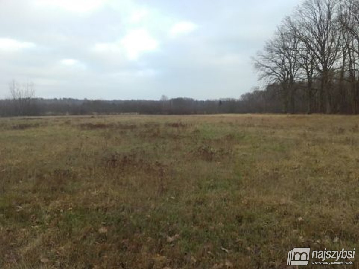 Goleniów- działka 0,8422 ha z WZ i kawałkiem lasu (31)