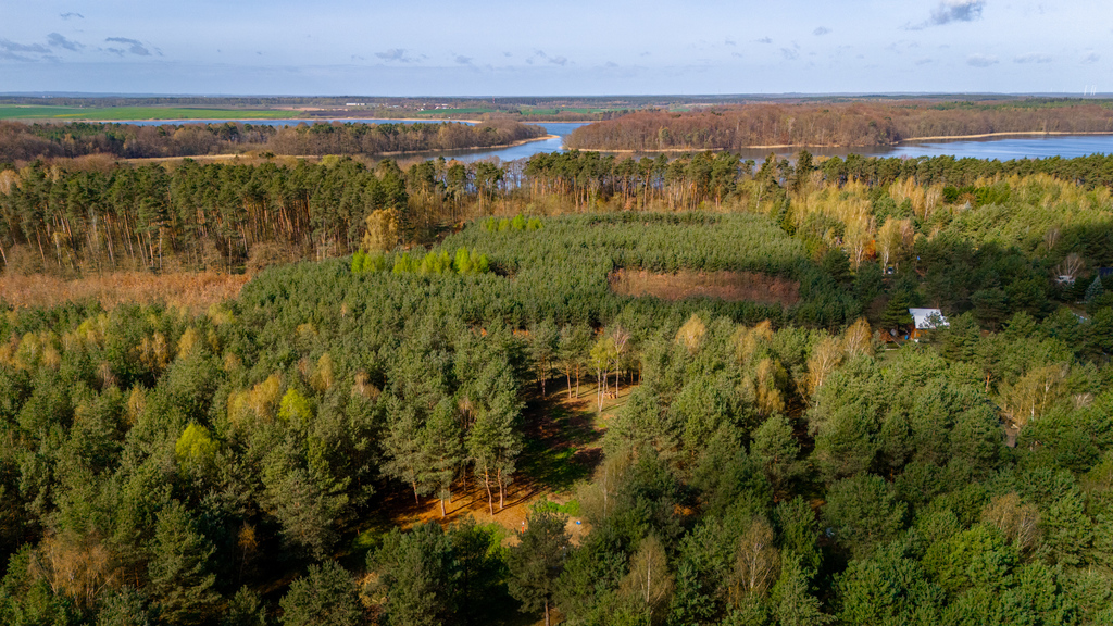 Działki nad jeziorem Chłop - 986m2, 921m2, 920m2 (12)