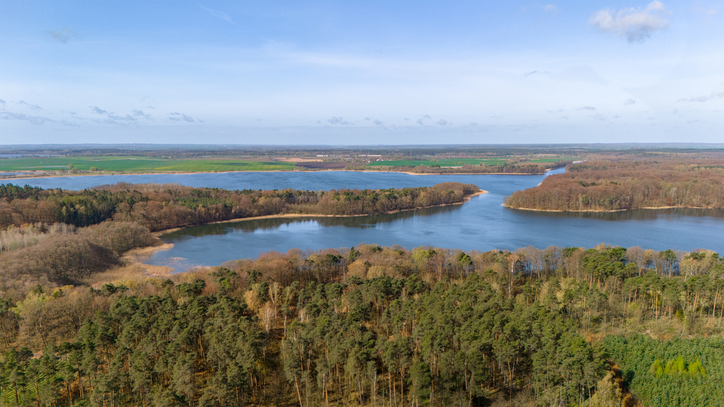 Działki nad jeziorem Chłop - 986m2, 921m2, 920m2 (8)