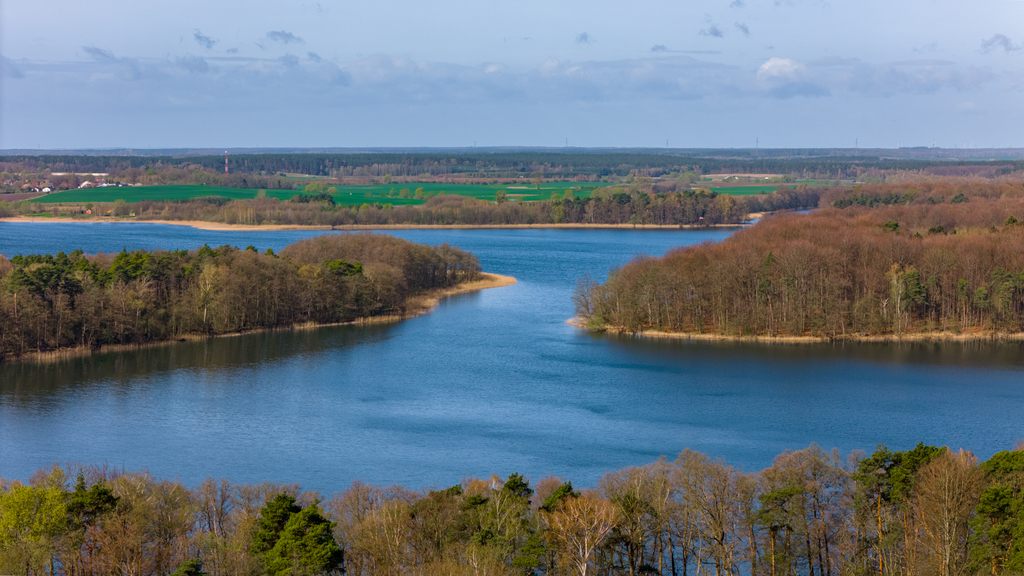 Działki nad jeziorem Chłop - 986m2, 921m2, 920m2 (7)