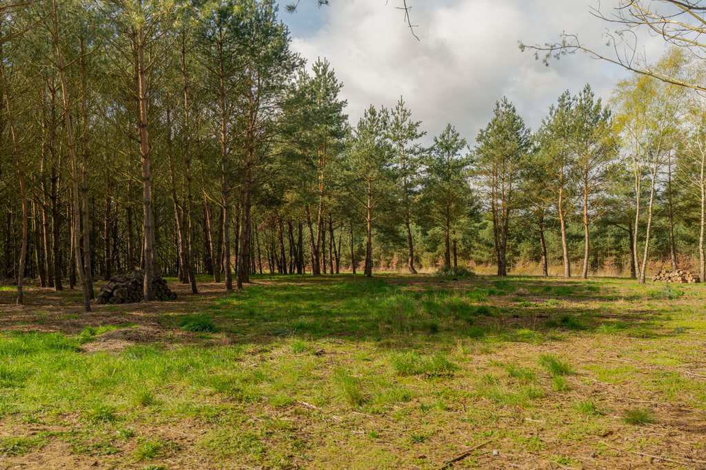 Działki nad jeziorem Chłop - 986m2, 921m2, 920m2 (14)