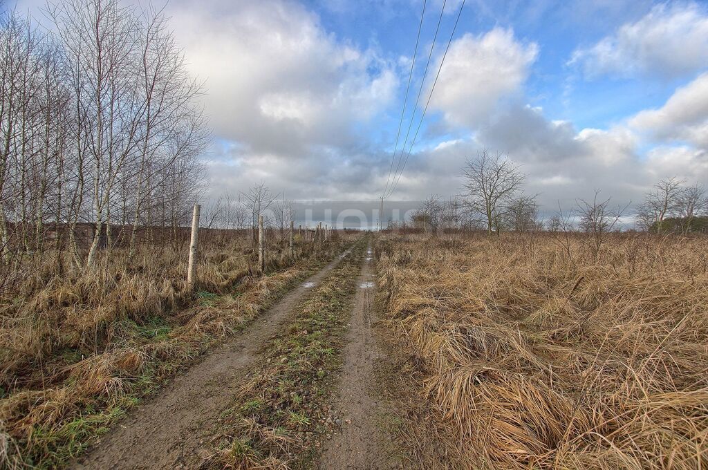 Atrakcyjna działka rolna (7)