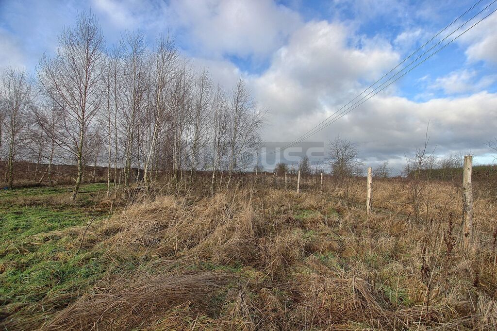 Atrakcyjna działka rolna (9)
