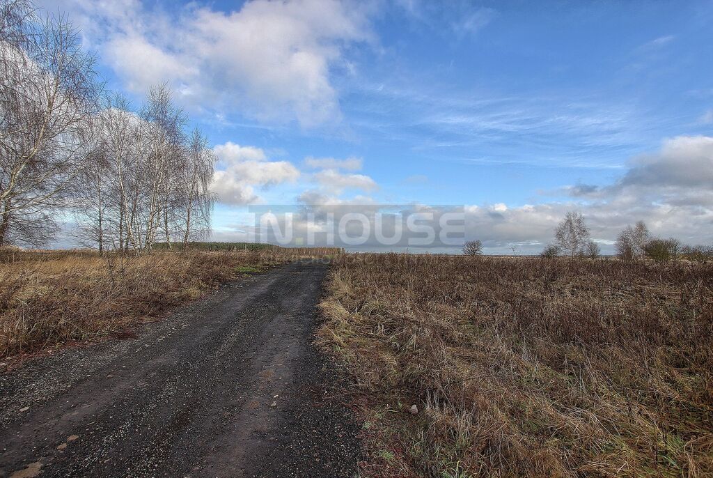 Atrakcyjna działka rolna (10)