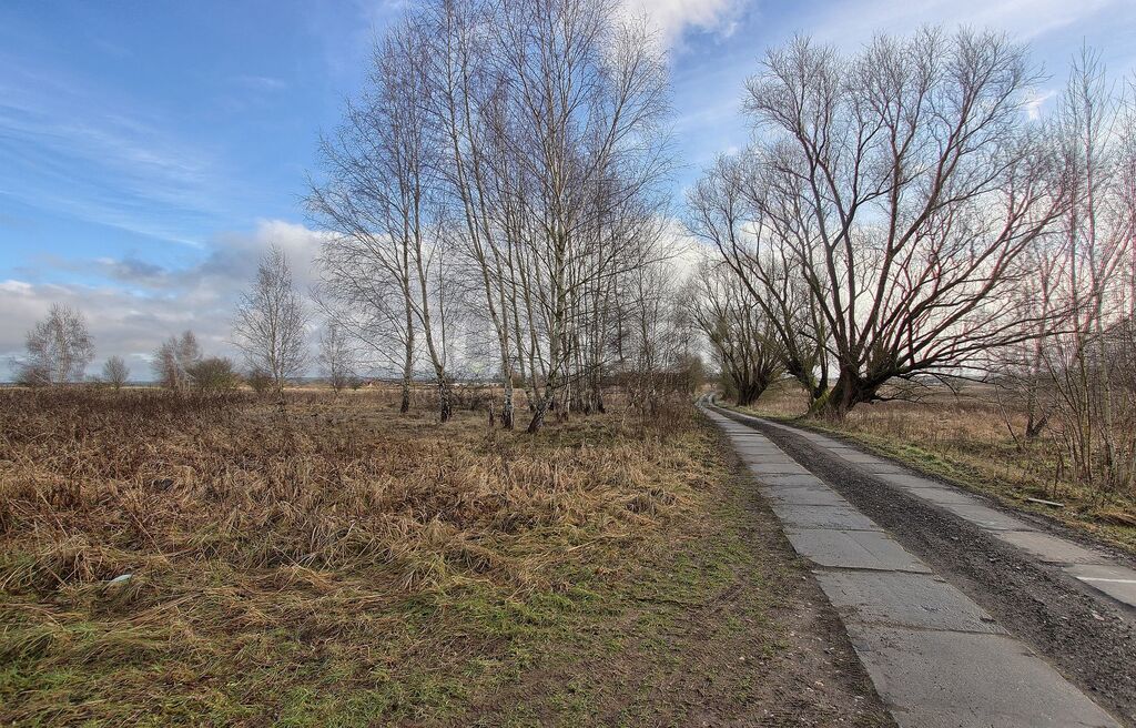 Atrakcyjna działka rolna (1)