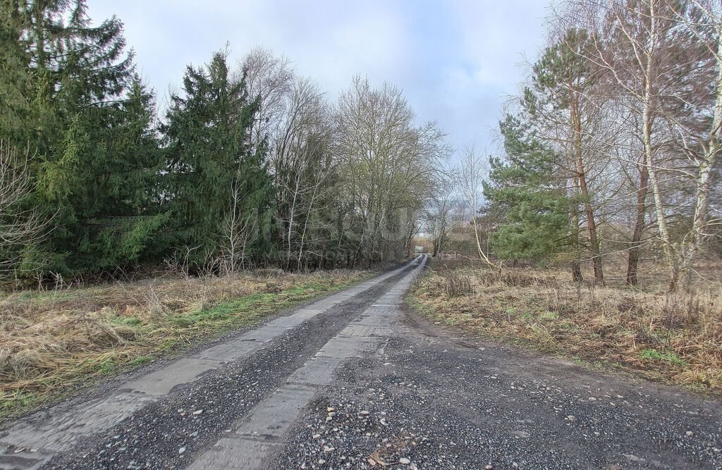 Atrakcyjna działka rolna (11)