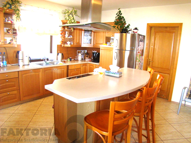 Obiekt usługi, warsztat, biuro+dom 5 mln (30)