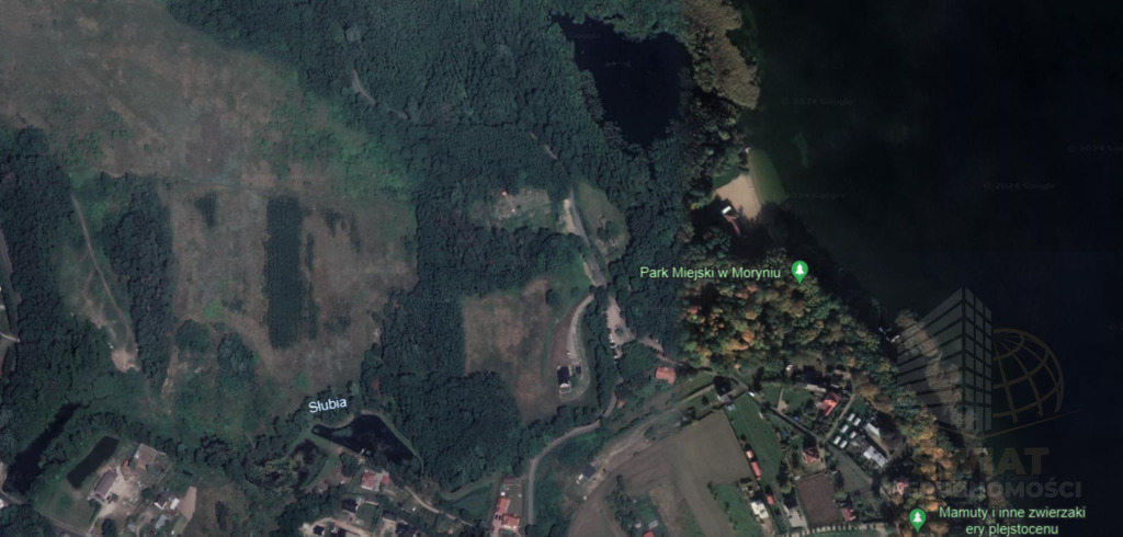 Działka nad jeziorem Morzycko, Moryń 2313 m2 MPZP (5)