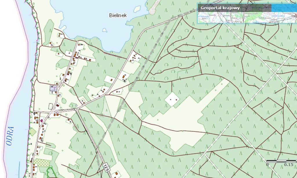 DZIAŁKA W M. BIELINEK, GM. CEDYNIA. (2)