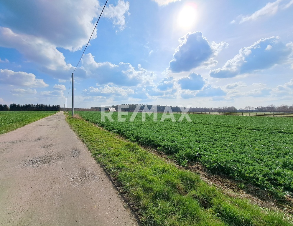 Działka budowlana pod Kołobrzegiem (7)