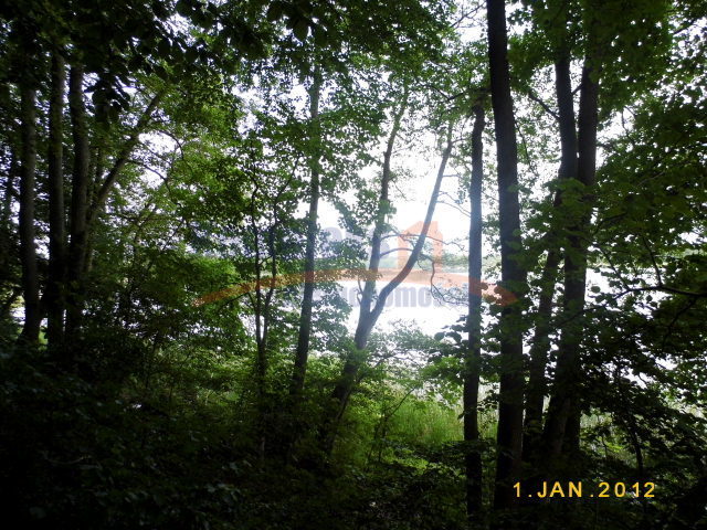 Rolna, 50,200 m2, Zabierzewo  (1)