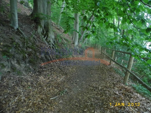 Rolna, 50,200 m2, Zabierzewo  (2)