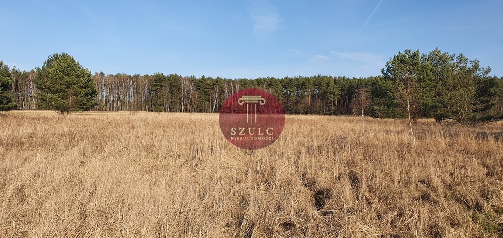 Bądź pierwszy! Wybierz piękną działkę. (3)